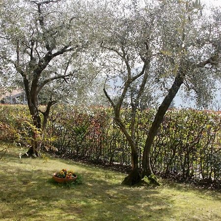Sarnico Giardino Sul Lago Exteriér fotografie